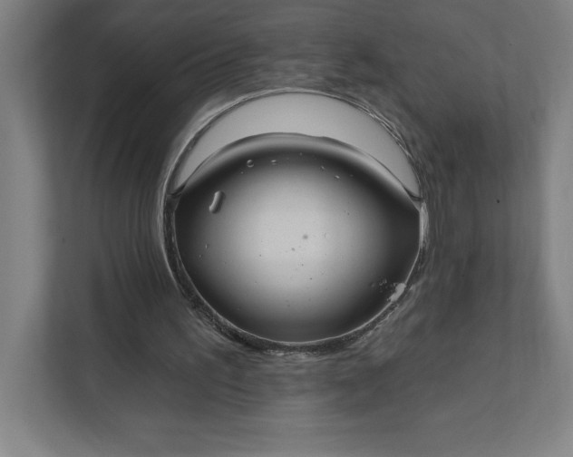 X0000112030195200908171458