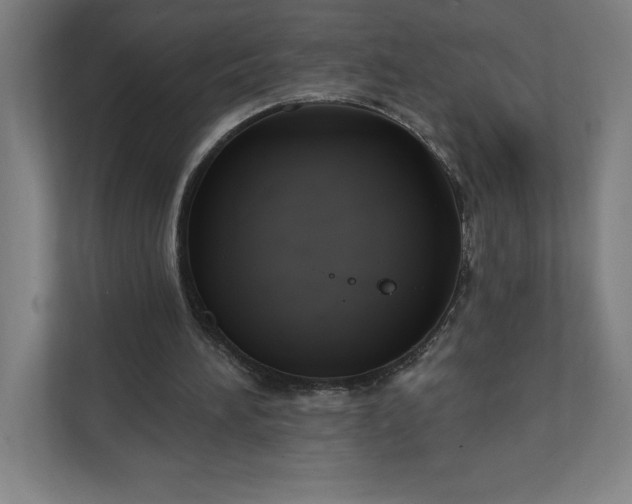 X0000112030196200908171458