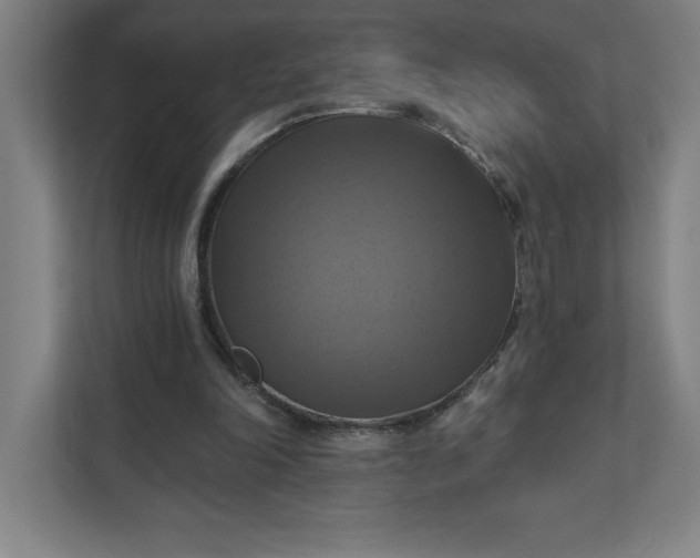 X0000112030198200908171458
