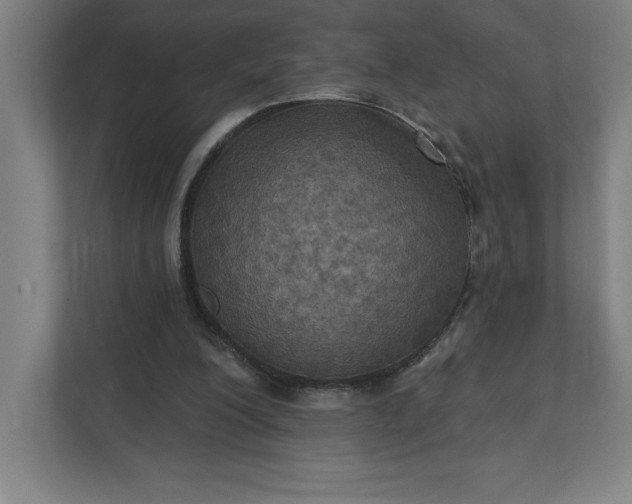 X0000112030200200908171457