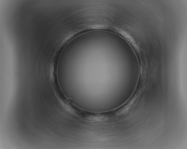 X0000112030201200908171457