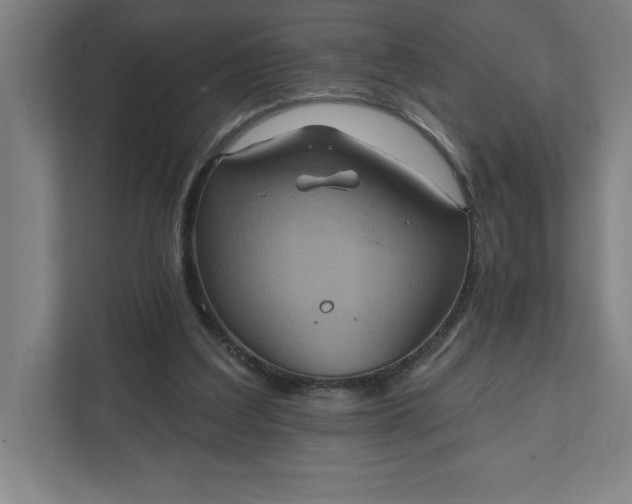 X0000112030203200908171457