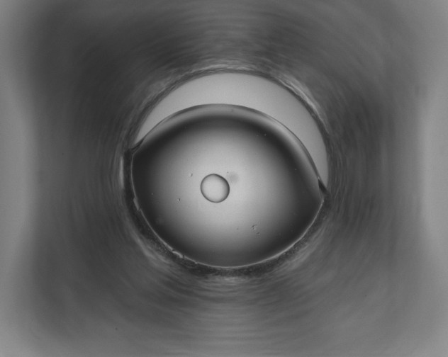 X0000112030205200908171457