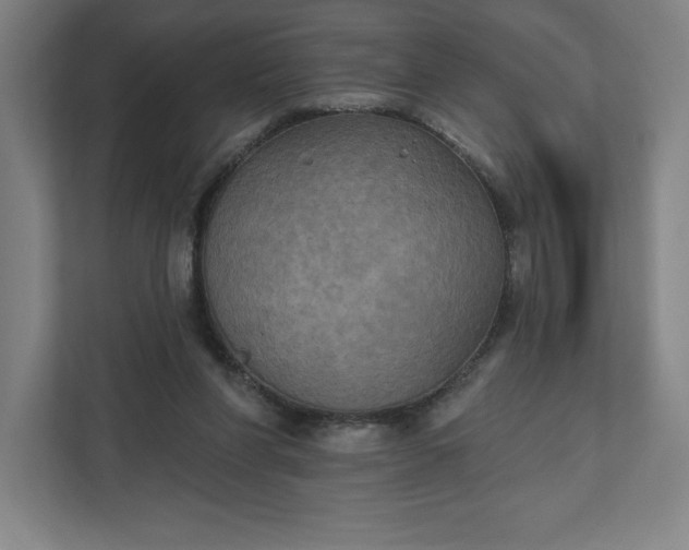 X0000112030206200908171457