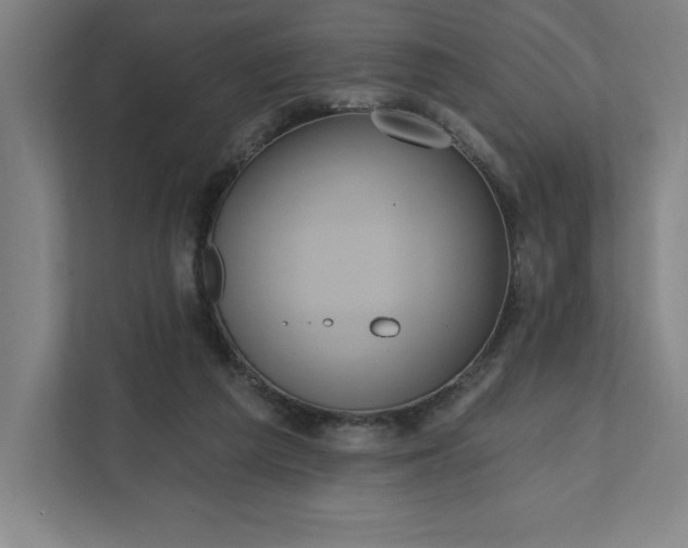 X0000112030209200908171457