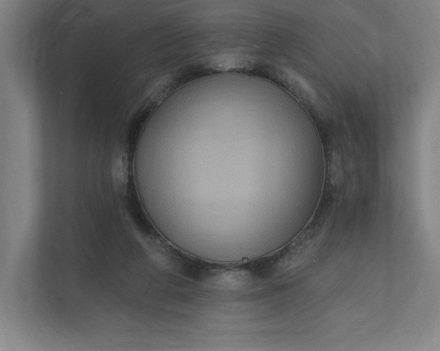X0000112030210200908171457