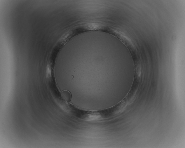 X0000112030214200908171457