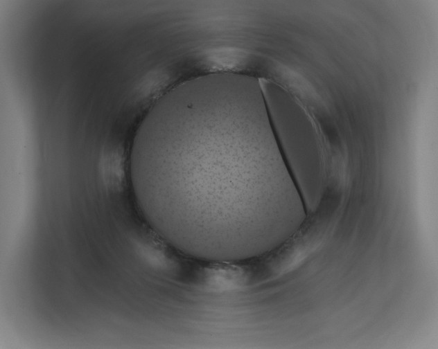 X0000112030215200908171457