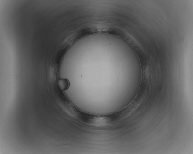 X0000112030218200908171457