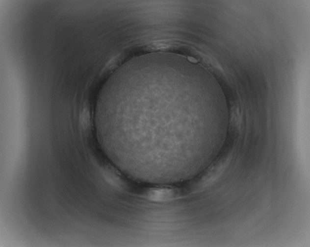 X0000112030220200908171457