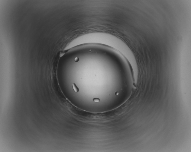 X0000112030223200908171457
