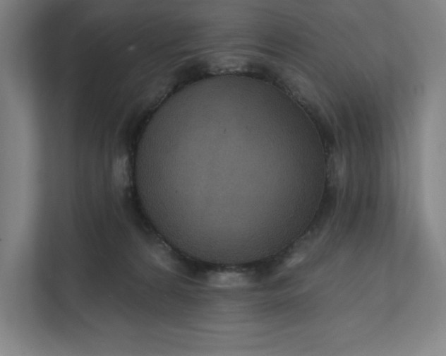 X0000112030224200908171457