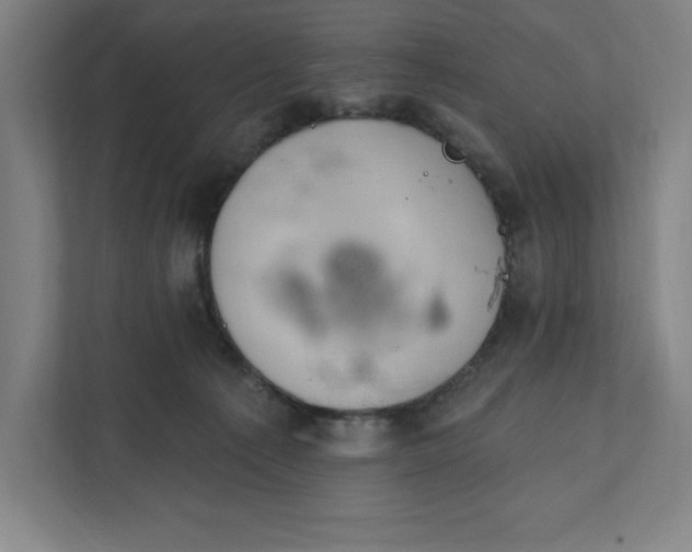 X0000112030225200908171457