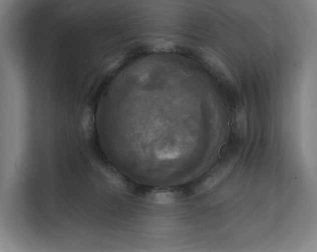 X0000112030228200908171457