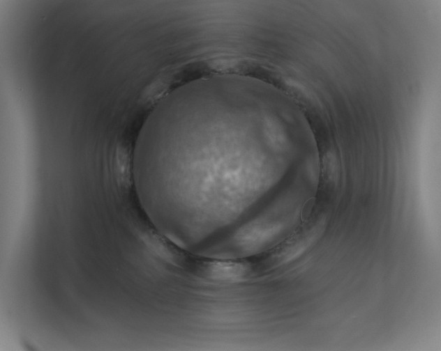 X0000112030234200908171457