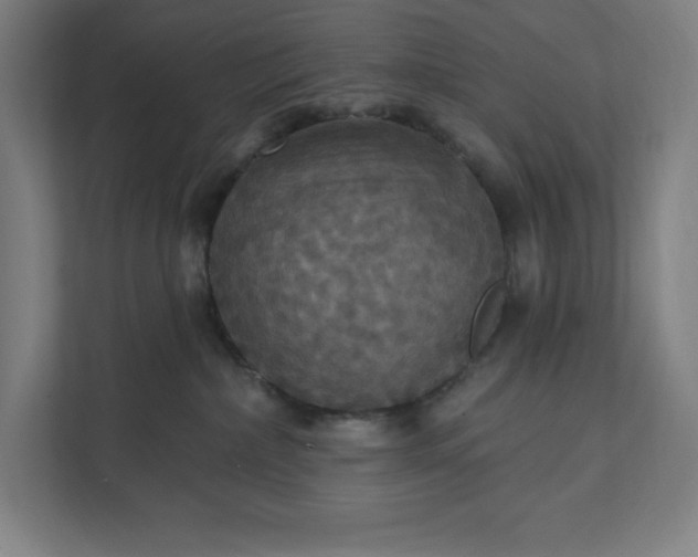 X0000112030236200908171457