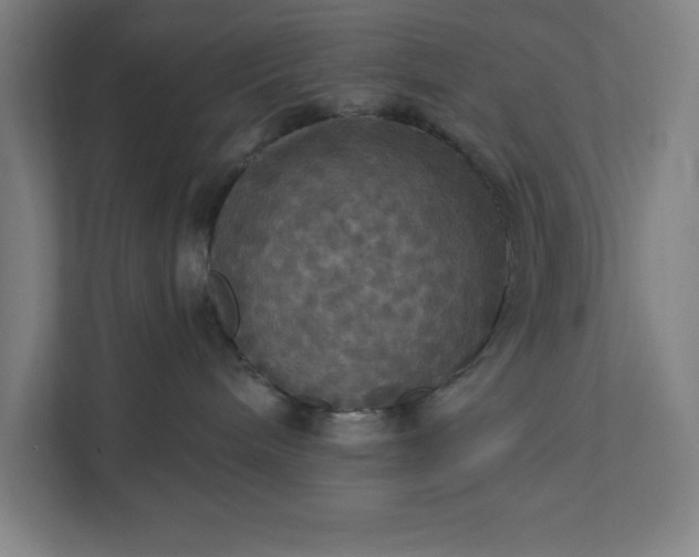 X0000112030240200908171457