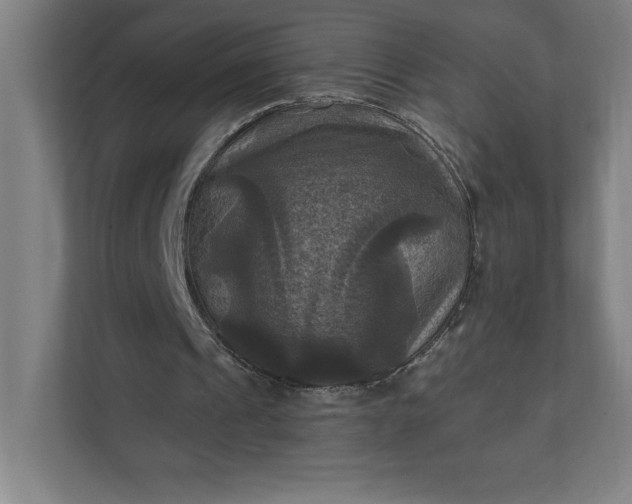 X0000112030241200908171456