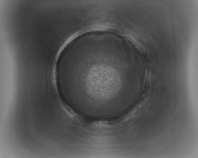 X0000112030244200908171456