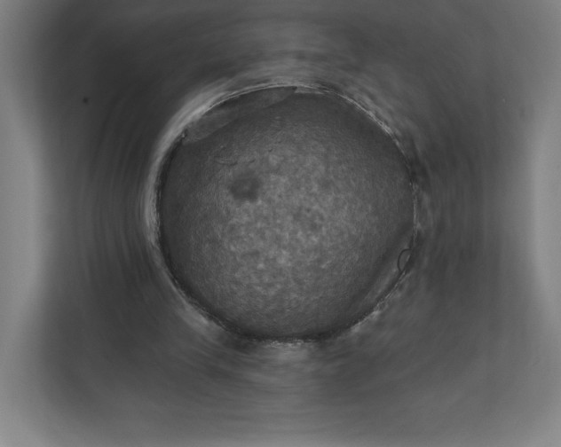 X0000112030245200908171456