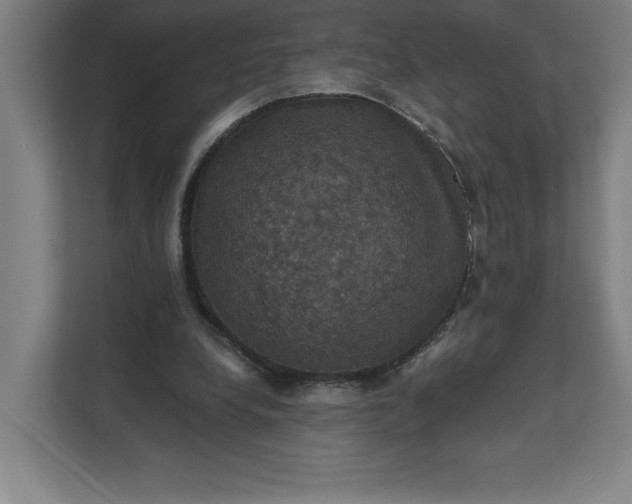 X0000112030248200908171456