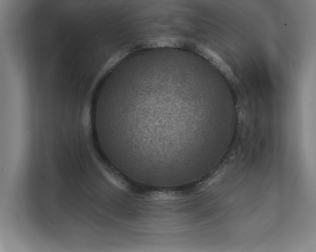 X0000112030250200908171456
