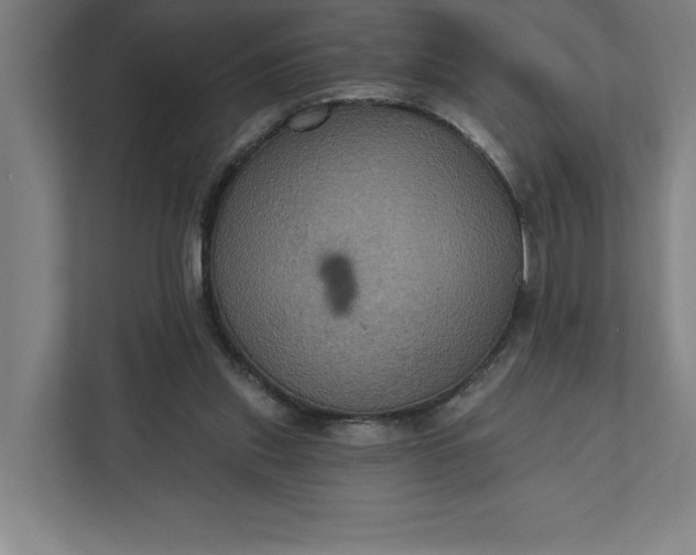 X0000112030253200908171456