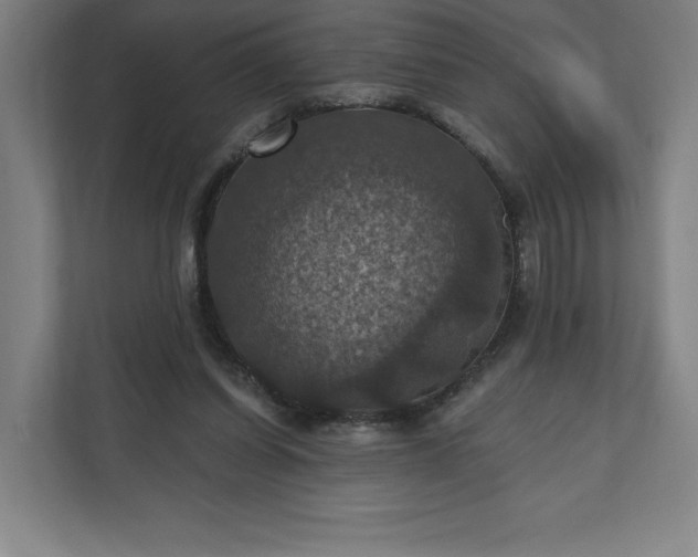 X0000112030254200908171457