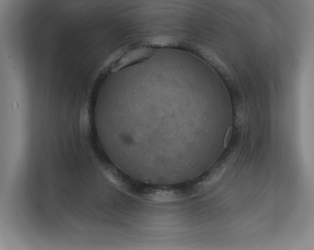 X0000112030256200908171457