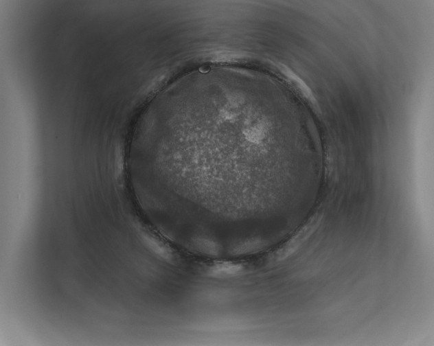 X0000112030257200908171457