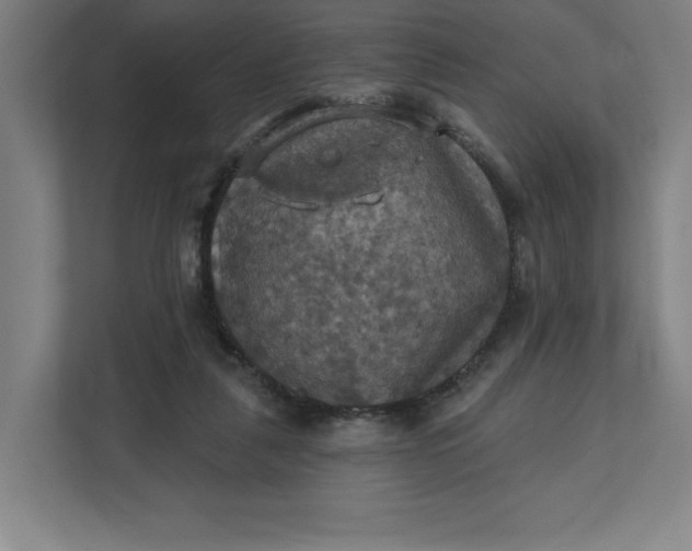 X0000112030259200908171457