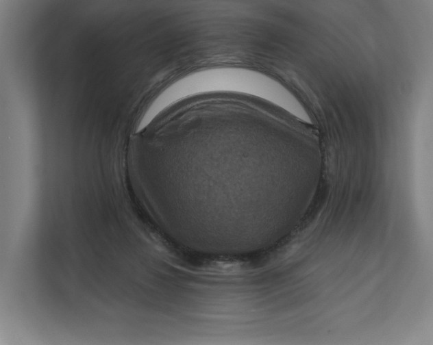 X0000112030260200908171457