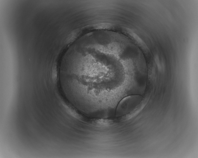 X0000112030261200908171457