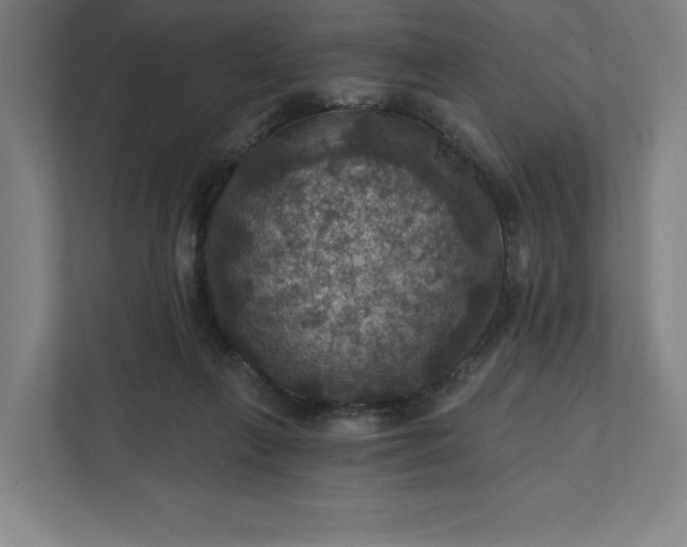 X0000112030263200908171457