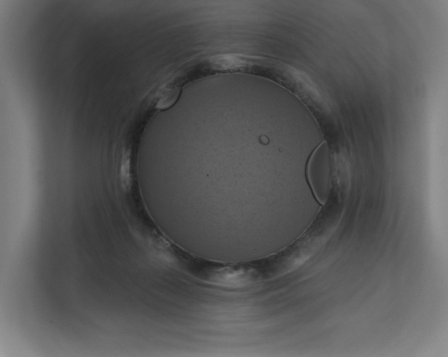 X0000112030267200908171457