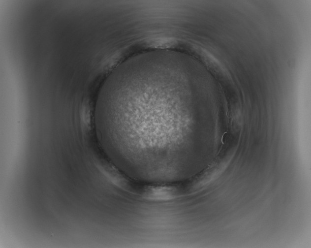 X0000112030268200908171457