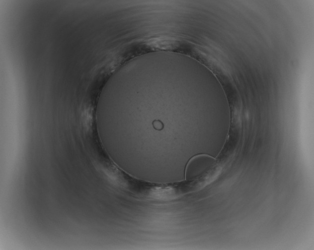 X0000112030271200908171457