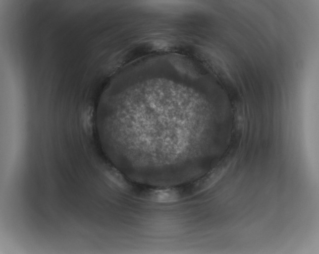 X0000112030275200908171457