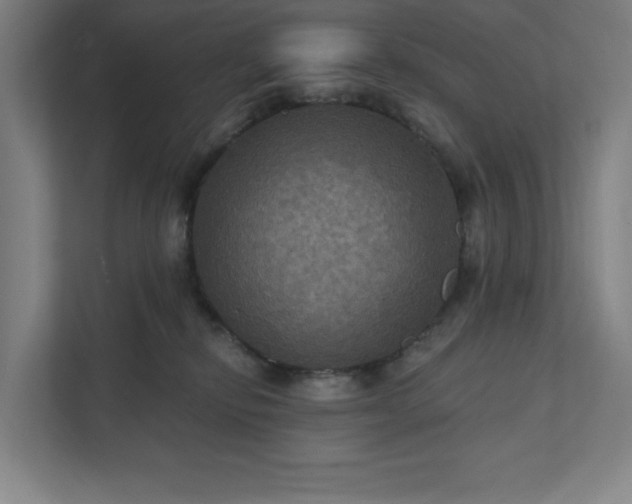 X0000112030278200908171457