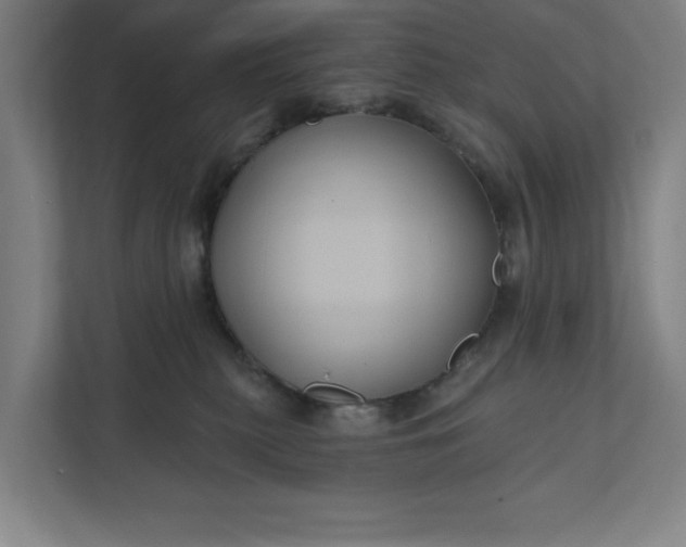 X0000112030279200908171457