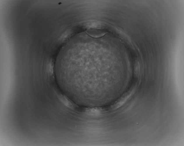 X0000112030282200908171457