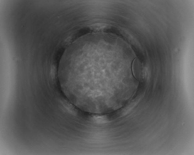 X0000112030283200908171457