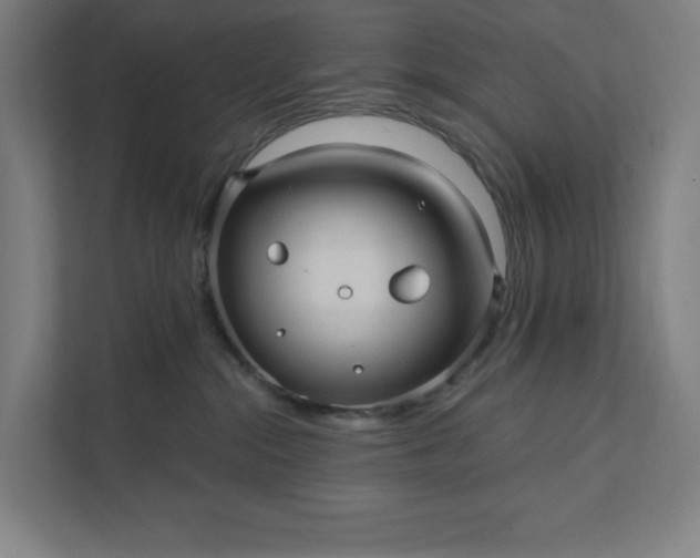 X0000112030284200908171457