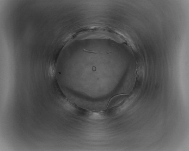 X0000112030285200908171457