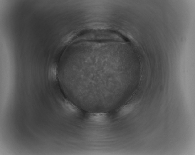 X0000112030288200908171457