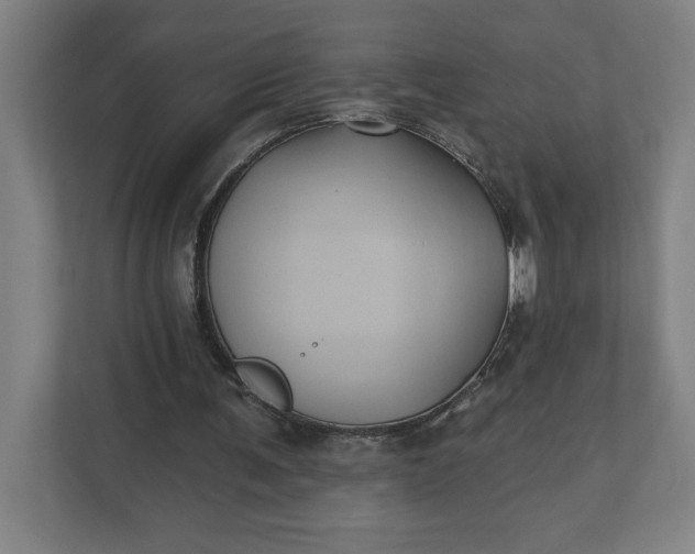 X0000112030291200908171456