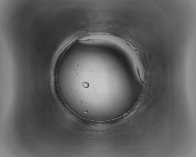 X0000112030293200908171456