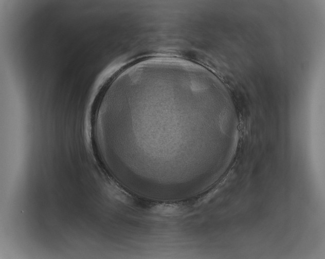 X0000112030294200908171456
