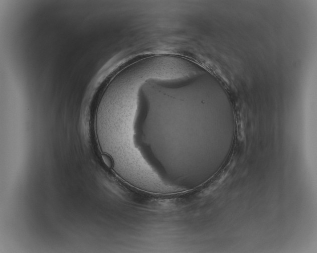 X0000112030295200908171456