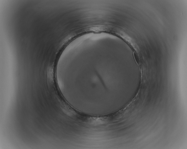 X0000112030297200908171456